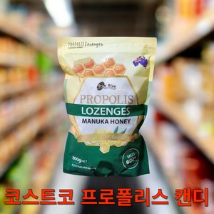 트루블루 프로폴리스 마누카허니 로젠지스 캔디, 800g, 1개