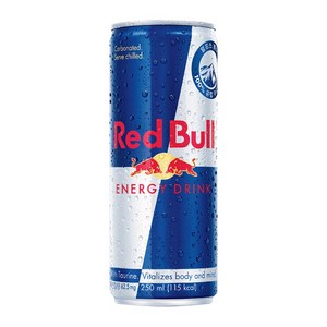 동서 레드불 오리지날 에너지 드링크, 250ml, 24개