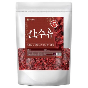 건강중심 구례 산동 산수유 씨 제거 국산 건산수유 말린 씨없는 건조, 1개, 500g