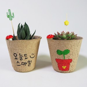 다육식물 종이 화분 그리기 DIY 키트, 1개