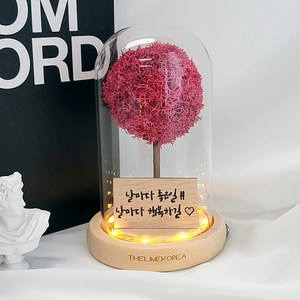 더라임코리아 LED 메시지 각인 스칸디아모스 유리돔 무드등 특별한 기념일 선물, 진핑크_폰트1