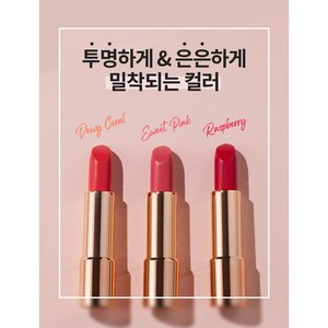 애터미 아델리카 립 루즈 새틴, 듀이코랄, 1개, 3.5g