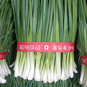 노지 햇 쪽파 깐쪽파 손질쪽파 중쪽파, 2개, 1kg