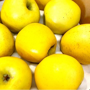 당도선별 황금사과 시나노 골드 고당도 햇 사과 가정용, 1박스, 2kg 꼬마과 (14-16과)