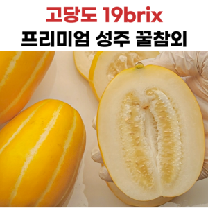 성주참외 당도보장, 정품꿀참외, 1개, 5kg