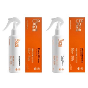 국보싸이언스 프로텍홈 파리 빈대 살충제 290ml, 2개입, 1개
