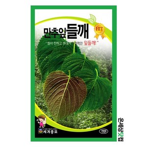 만추잎들깨 2000립 / 깻잎씨앗 깻잎씨 들깨 씨앗 들깨씨, 1개