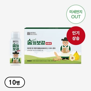 삼백초 추출물 포함 복합 호흡기 기관지 미세먼지 면역력 영양제 숨의보감, 1개, 300ml