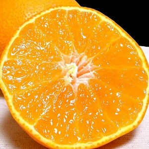 [2주한정판매] 100%산지직송 벌꿀bix 과즙폭발 제주카라향, 1개, 2kg