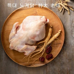 (배터짐) 보신용 노계닭 1.5kg내외 1마리 폐계닭 산란계 토종닭 오골계, 1.5kg, 1개