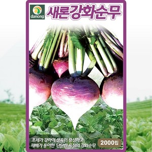 식용 텃밭 채소 키우기 강화순무 씨앗 2000립, 1개