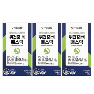 위건강 엔 매스틱, 45g, 3개