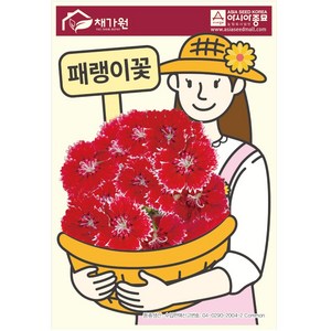 아시아종묘 씨앗 꽃 패랭이꽃 1000립, 1개