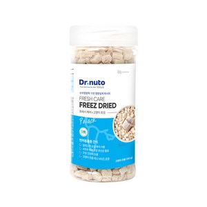 닥터뉴토 프레시케어 고양이 구강 유산균 동결건조 트릿, 1개, 40g, 북어