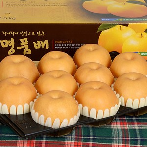 하늘내린 나주 고당도 신고배 프리미엄, 가정용 1호 흠집배 7.5kg 8~10과, 1박스