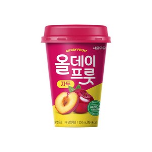 서울우유 올데이프롯 자두, 250ml, 10개