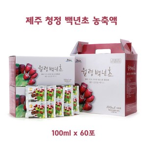 제주 백년초 농축액 손바닥 선인장 즙 액기스 60포, 60개, 100ml