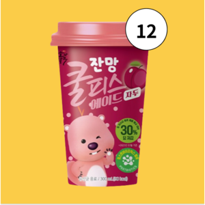 소와나무 쿨피스 에이드 자두맛, 300ml, 12개