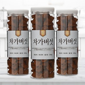 채울농산 자작나무 영양이 고스란히 차가버섯 (러시아산 250g), 1개, 250g