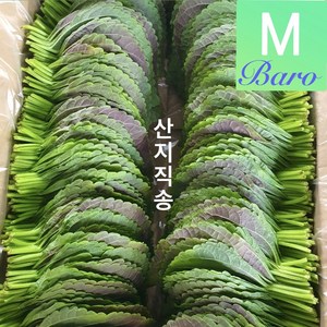 바로마켓 식당용깻잎1kg 2kg 밀양깻잎 산지직송, 1박스, 1kg