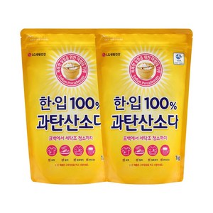 한입 100% 과탄산소다 리필형, 2개, 1kg