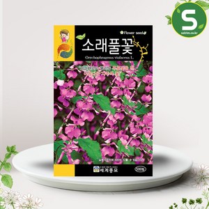 솔림텃밭몰 소래풀꽃씨앗 500립 소래풀꽃 꽃씨앗 자주색꽃, 1개