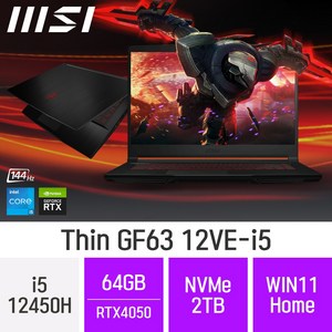 MSI GF시리즈 Thin GF63 12VE-i5, WIN11 Home, 64GB, 2TB, 코어i5, B