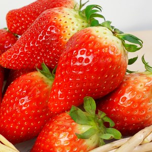 FRESH US 짱크다 킹스베리 16~20과 대왕딸기 딸기마스터 선별, 2개, 400g(8~10과)