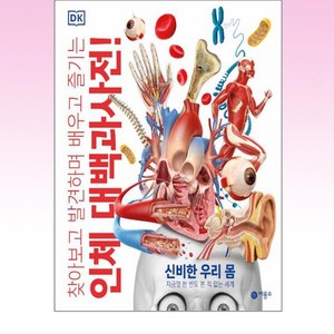 DK 인체 대백과사전 : 찾아보고 발견하며 배우고 즐기는, 비룡소, DK 인체 대백과사전 편집 위원회