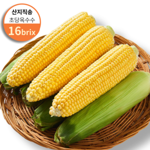 [아침수확] 달콤한 햇 초당옥수수 중품, 1개, 5개