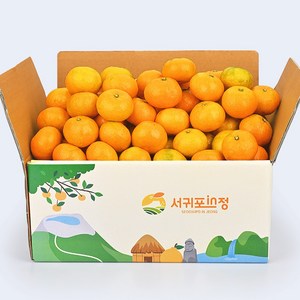 서귀포인정 제주 고당도 제철 귤, 1박스, 감귤 4.5kg 중대과(L-2L)