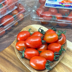 스테비아 방울토마토 토망고 토마토, 2개, 500g