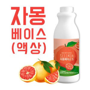 쉘몬 과일 에이드 농축액 액상타입 베이스 모음 1kg, 1개