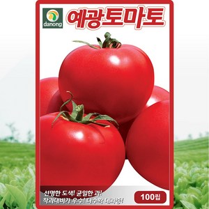 다농 예광큰토마토 씨앗 100립 큰 토마토씨 종자, 1개