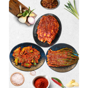 노빡 실비김치 금치 파김치 1.5kg 국밥집생김치 오이소박이, 노빡 실비오이김치1kg, 1개