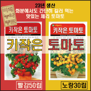 키작은 토마토 씨앗 빨강 50립 / 키작은 토마토 씨앗 노랑 30립 중 택1 -화분 토마토 체리 토마토, 빨강50립, 1개