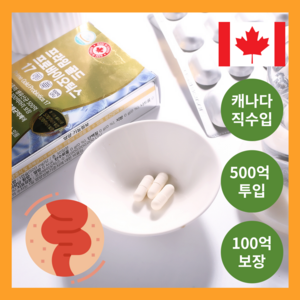 캐나다 직수입 500억 투입 100억 보장 프로바이오틱스 모유 LGG 유산균 생유산균 30캡슐, 30정, 1개