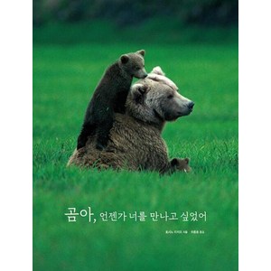 곰아 언젠가 너를 만나고 싶었어:대자연과 교감하는 한 인간의 순수한 영혼을 만나다, 진선북스, 호시노 미치오 저/최종호 역