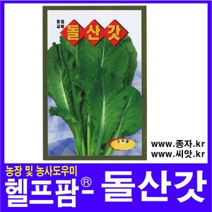 헬프팜 돌산갓 6000립 종자 씨앗 동원농산종묘, 1개