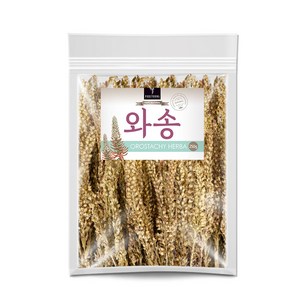 퓨어영 국산 건조 와송 250g, 1개