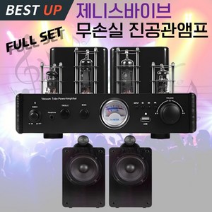 제니스바이브 무손실 진공관앰프 하이파이 블루투스 5.0 고출력 스피커 무선 리모컨 풀세트, C 제바 프리미엄 블랙