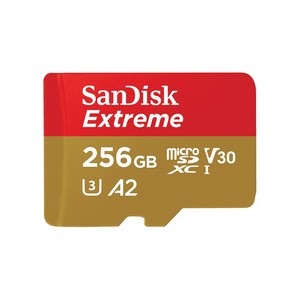 샌디스크 익스트림 마이크로SD 카드 SDSQXA1-256G, 256GB, 1개