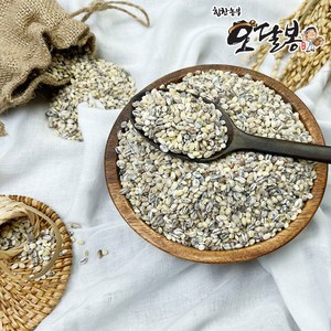 힘찬농부 국산 오색보리 (늘보리 청보리 찰보리 흑보리 자색보리), 1개, 5kg