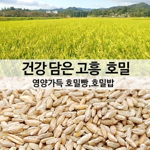 [진도장모와서울큰사위] 국산 호밀쌀 잡곡 제과 제빵 사용가능, 2개, 1kg