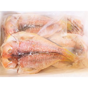 제주인생선 반건조 말린 참옥돔 대 (6마리/10마리) 특대 (5마리/10마리) 손질 비닐포장, 대 사이즈 6마리(비닐포장)