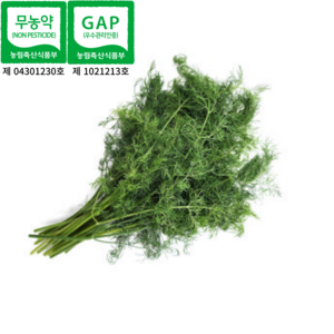 [슬기로운도시농부]국내산 친환경 무농약 GAP 딜 10g(당일 수확해 더 신선하고 더 향긋한 딜), 1개, 10g