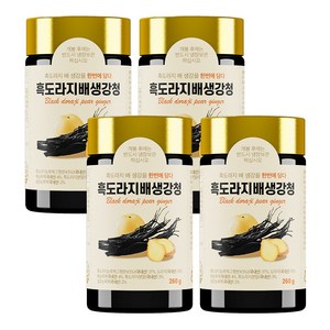 한보감 흑도라지배생강청, 4개, 1개입, 260g