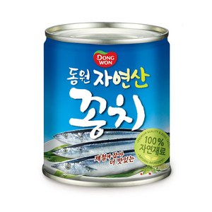 데일즈기획 동원 꽁치, 230g, 10개