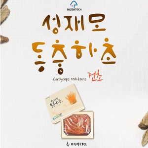 [성재모동충하초] 건초(50g), 1개, 50g