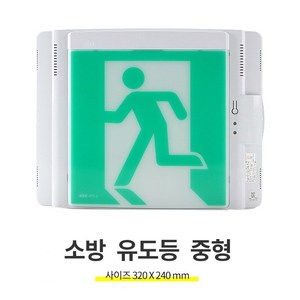 리더스 LED 피난구 유도등 벽부형 중형 320X240, 1개